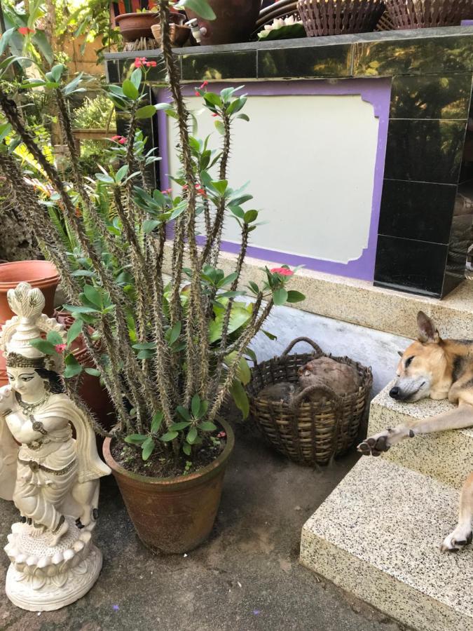 Arabian Soul Panzió Varkala Kültér fotó